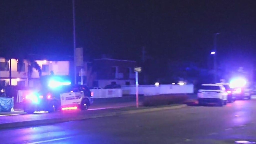 Woman accused of killing man in Dania Beach hit-and-run, BSO says — CBS Miami, Pleasanton Community news
