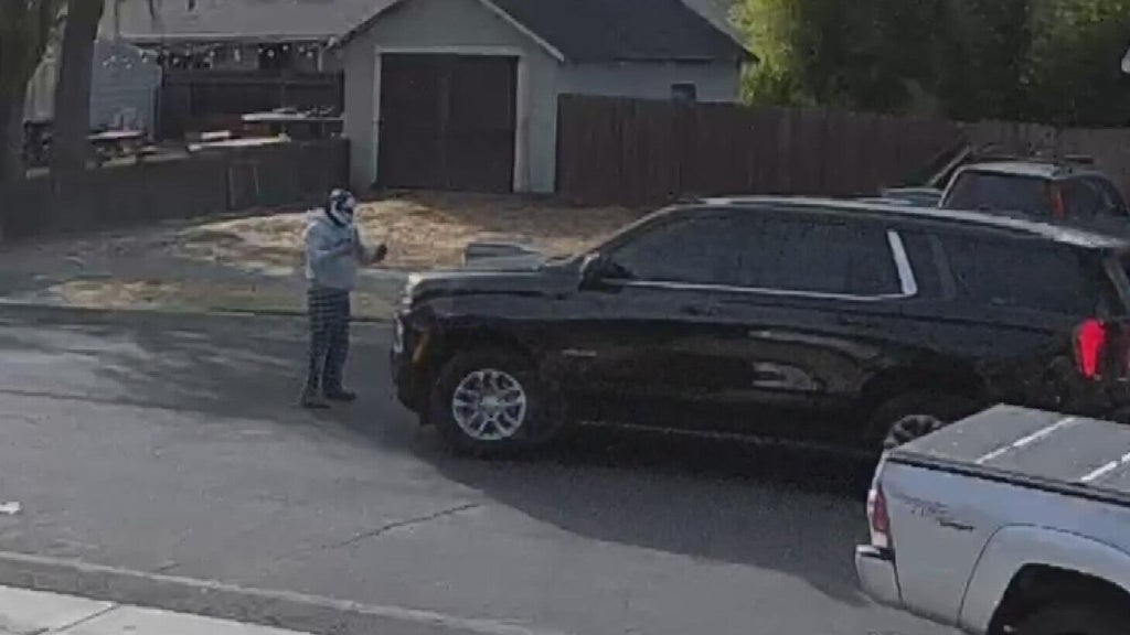 Woodland police dispute DHS account of ICE agent's collision with pedestrian — CBS Bay Area (KPIX), Pleasanton Health news