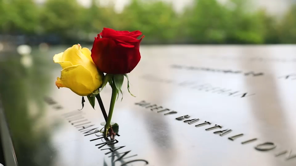 Second 9/11 victim identified with breakthrough genetic genealogy, NYC officials say
       — ABC 7 Bay Area, Pleasanton Community news