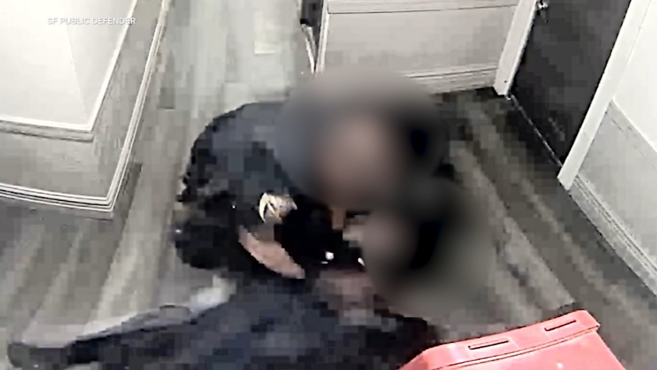 Bodycam shows San Francisco police officers beating man during 2025 arrest
       — ABC 7 Bay Area