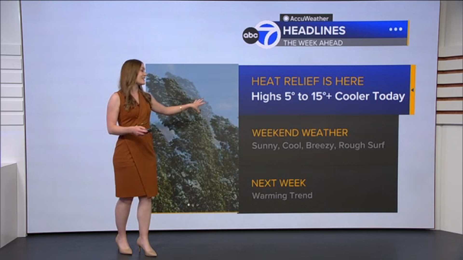 AccuWeather Forecast: Cooling continues, fog and cloud cover persist at coast
— ABC 7 Bay Area, Pleasanton Community news