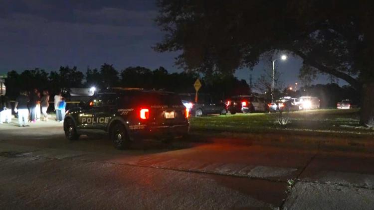 HPD: Man dies after going for swim in Sims Bayou in southeast Houston — KHOU 11 (Houston), Pleasanton Sports news