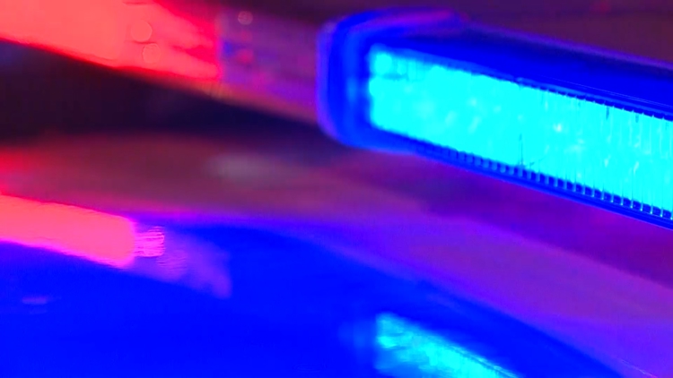 2 men arrested after reportedly shooting, killing man early Sunday morning, North Texas police say — WFAA (Dallas-Fort Worth), Pleasanton Community news