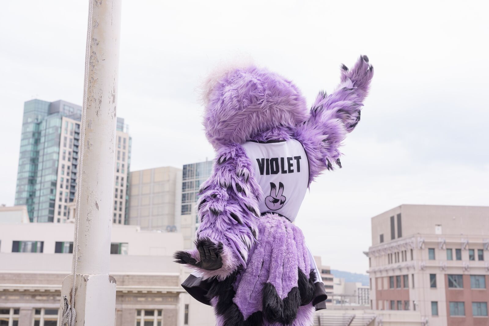 This week in Oakland: an outdoor Valkyries watch party, and singersongwriter Laura Anglade at Yoshi’s — The Oaklandside, Pleasanton Arts news