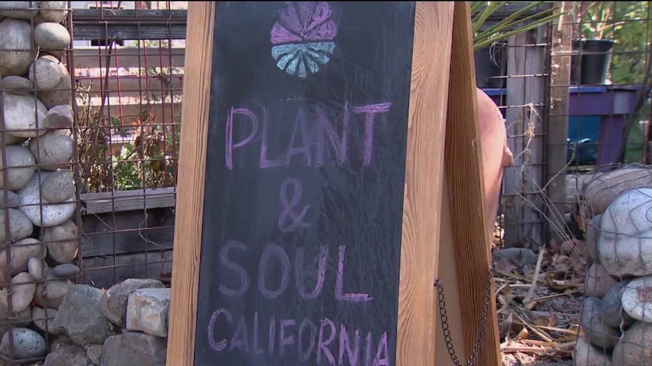 San Jose community garden faces possible eviction — KTVU FOX 2 Bay Area, Pleasanton Schools news