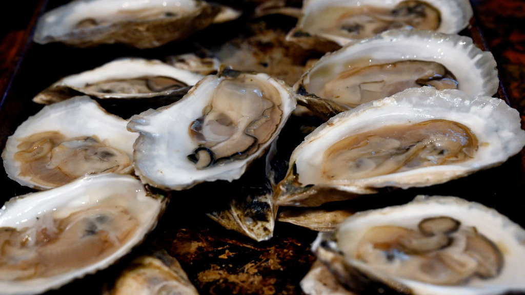Sewage leak temporarily halts Tomales Bay oyster harvest — KTVU FOX 2 Bay Area, Pleasanton Business news