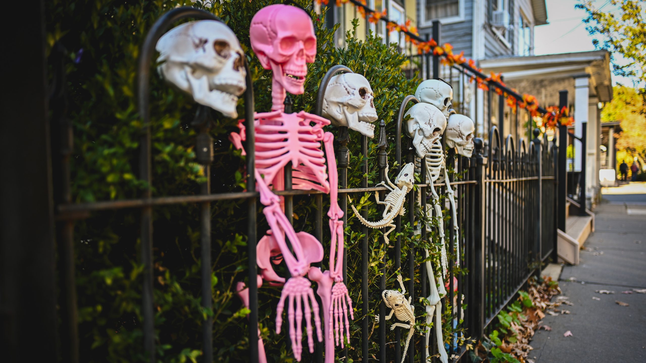 America's best cities for Halloween, ranked — KTVU FOX 2 Bay Area, Pleasanton Community news