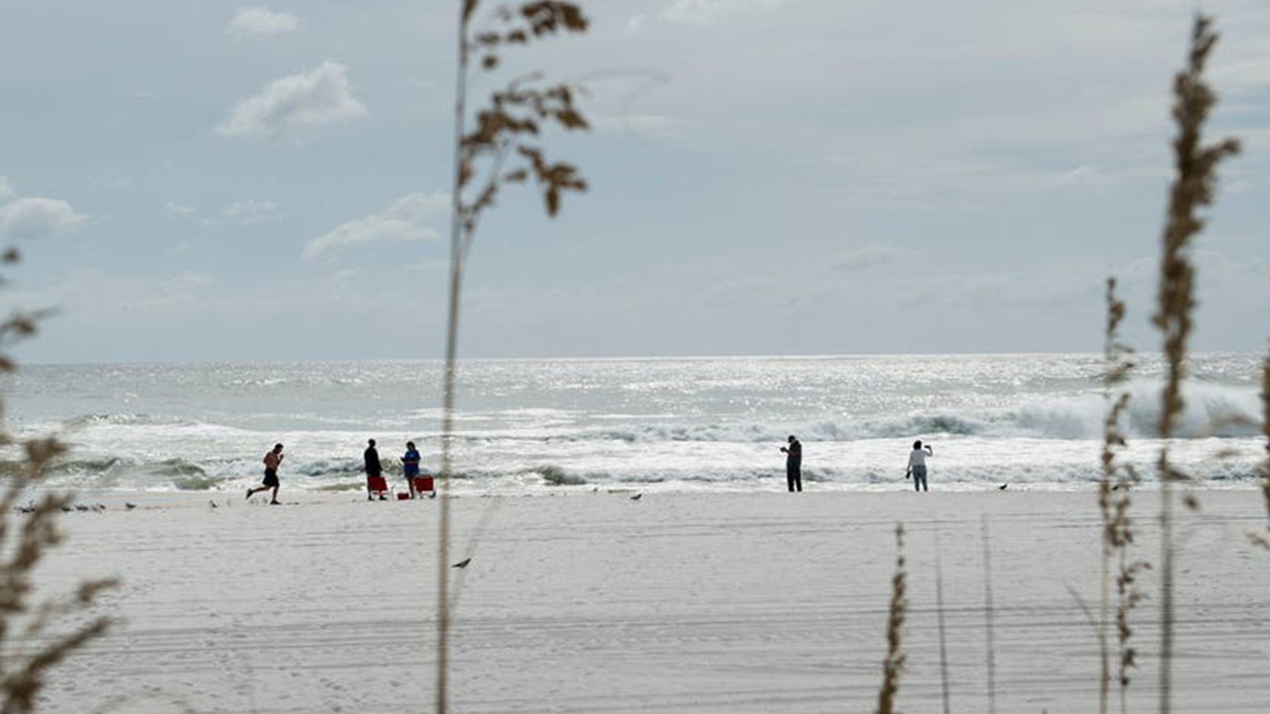 Father of 2 drowns after being caught in current trying to rescue seagull caught in fishing line — KTVU FOX 2 Bay Area